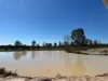 594 Promisedland Road, Promisedland, Qld 4660-Image