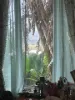594 Promisedland Road, Promisedland, Qld 4660-Image