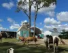 594 Promisedland Road, Promisedland, Qld 4660-Image