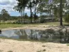 594 Promisedland Road, Promisedland, Qld 4660-Image