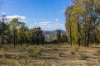 5944 Hill End Road, Mudgee, NSW 2850-Image