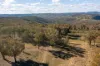 5944 Hill End Road, Mudgee, NSW 2850-Image