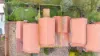 6/48 Crouch Street North, Mount Gambier, SA 5290-Image