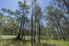 6-7, Pretty Close, Fortis Creek, NSW 2460-Image