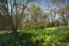 6 Rainy Hill Road, Cockatoo, Vic 3781-Image
