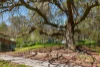 6 Rainy Hill Road, Cockatoo, Vic 3781-Image