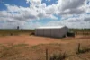 60 Forward Avenue, Loveday, SA 5345-Image