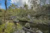 60 Hereford Hall Road, Braidwood, NSW 2622-Image