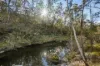 60 Hereford Hall Road, Braidwood, NSW 2622-Image