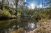 60 Hereford Hall Road, Braidwood, NSW 2622-Image
