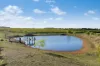 603 Emu Swamp Road, Orange, NSW 2800-Image