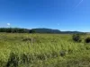 606 Warrubullen Road, Warrubullen, Qld 4871