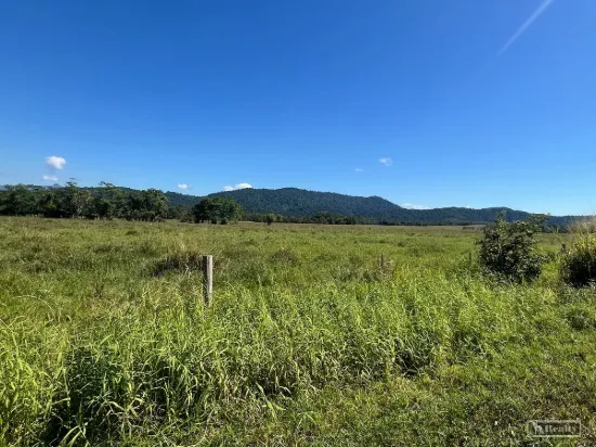 606 Warrubullen Road, Warrubullen, Qld 4871