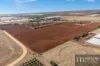 61 Lovey Road, Penfield, SA 5121-Image