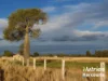 611 Red Hill Road, Chinchilla, Qld 4413-Image
