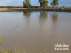 611 Red Hill Road, Chinchilla, Qld 4413-Image