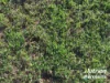 611 Red Hill Road, Chinchilla, Qld 4413-Image