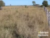 611 Red Hill Road, Chinchilla, Qld 4413-Image