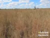 611 Red Hill Road, Chinchilla, Qld 4413-Image