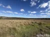 62 Runnymede Estate Road, Runnymede, Qld 4615-Image