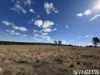 62 Runnymede Estate Road, Runnymede, Qld 4615-Image