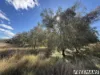 62 Runnymede Estate Road, Runnymede, Qld 4615-Image