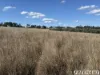 62 Runnymede Estate Road, Runnymede, Qld 4615-Image