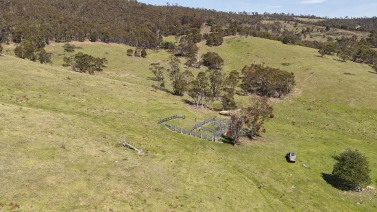 620 Bingo Tice Road, Anglers Rest, Vic 3898