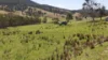 620 Bingo Tice Road, Anglers Rest, Vic 3898-Image