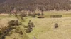620 Bingo Tice Road, Anglers Rest, Vic 3898-Image