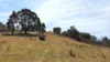 620 Bingo Tice Road, Anglers Rest, Vic 3898-Image