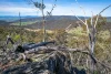 620 Bingo Tice Road, Anglers Rest, Vic 3898-Image