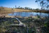 620 Bingo Tice Road, Anglers Rest, Vic 3898-Image