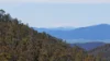 620 Bingo Tice Road, Anglers Rest, Vic 3898-Image