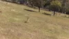 620 Bingo Tice Road, Anglers Rest, Vic 3898-Image