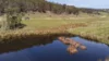 620 Bingo Tice Road, Anglers Rest, Vic 3898-Image
