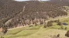 620 Bingo Tice Road, Anglers Rest, Vic 3898-Image
