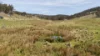 620 Bingo Tice Road, Anglers Rest, Vic 3898-Image