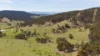 620 Bingo Tice Road, Anglers Rest, Vic 3898-Image