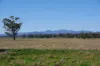 625 Logans Lane, Narrabri, NSW 2390-Image