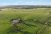 6294 Mitchell Highway, Cundumbul, NSW 2866-Image
