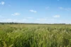 6294 Mitchell Highway, Cundumbul, NSW 2866-Image