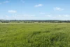 6294 Mitchell Highway, Cundumbul, NSW 2866-Image