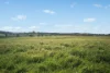 6294 Mitchell Highway, Cundumbul, NSW 2866-Image