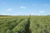 6294 Mitchell Highway, Cundumbul, NSW 2866-Image