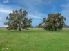 634 Docker-Greta West Road, Greta, Vic 3675-Image