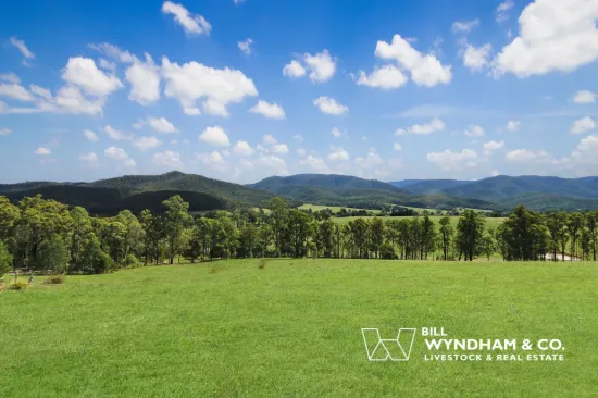 64 Staggs Creek Road, Combienbar, Vic 3889