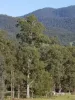 64 Staggs Creek Road, Combienbar, Vic 3889-Image