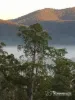 64 Staggs Creek Road, Combienbar, Vic 3889-Image