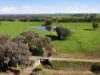 64 White Post Road, Everton, Vic 3678-Image